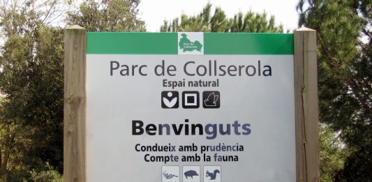 El Pla del Parc de Collserola, una aposta pel planejament i el medi ambient