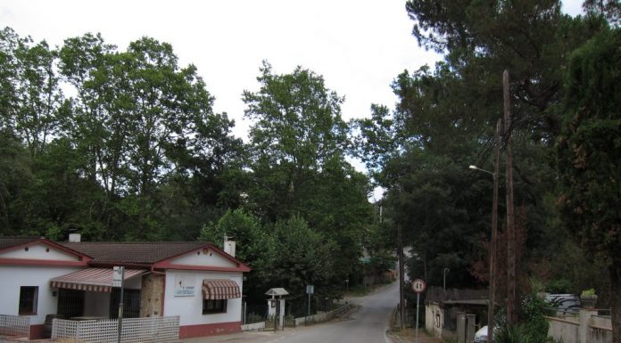 Molins de Rei: veïns i veïnes de La Rierada demanen aturar els Plans d’urbanització a Collserola