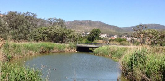 La fiscalia reclama a l’ACA i l’AMB que resolguin els vessaments contaminants al Baix Llobregat, però no hi veu delicte