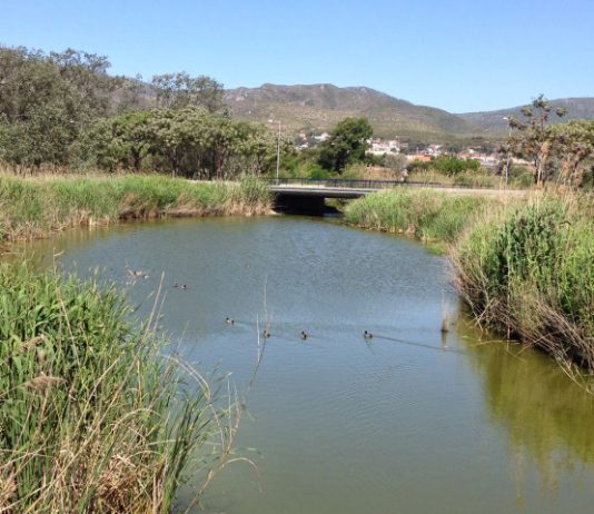 La fiscalia reclama a l’ACA i l’AMB que resolguin els vessaments contaminants al Baix Llobregat, però no hi veu delicte