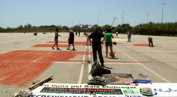 Ecologistes en Acció considera una victòria la renaturalització dels pàrquings il.legals d’AENA al Delta