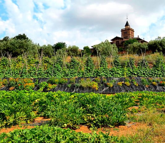 Fins el 9 de setembre es pot optar als ajuts del Contracte Agrari de Collserola