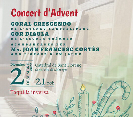 Torna el Concert d’Advent amb l’orgue de Jaume Serna a la Catedral de Sant Feliu