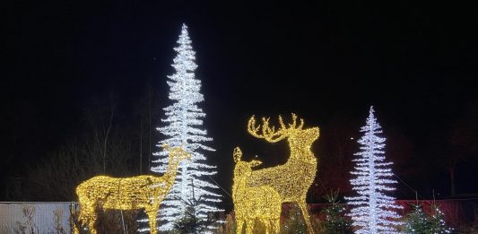 “AL BAIX, ofertes FLAIX”: descomptes durant tres caps de setmana de novembre
