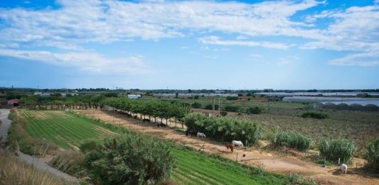 L’ampliació de la Xarxa Natura 2000 del Delta pot ser compatible amb el Parc Agrari. Per Rafa Bellido