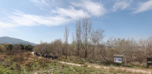 L’AMB recuperarà els aiguamolls de Molins de Rei l’any 2024