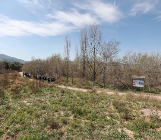 L’AMB recuperarà els aiguamolls de Molins de Rei l’any 2024