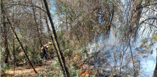 Controlat l’incendi forestal a Pou de Merlí, a Martorell