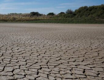 Sequera: Ecologistes en Acció critica la “irresponsabilitat” d’ajuntaments com Cornellà, Sant Boi o Viladecans per “incomplir la llei”