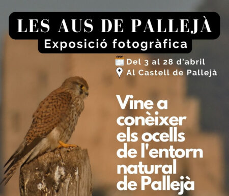 Pallejà mostra els seus ocells autòctons