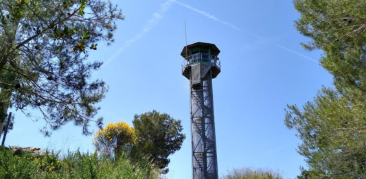Sequera: Activat el dispositiu contra incendis forestals a Collserola