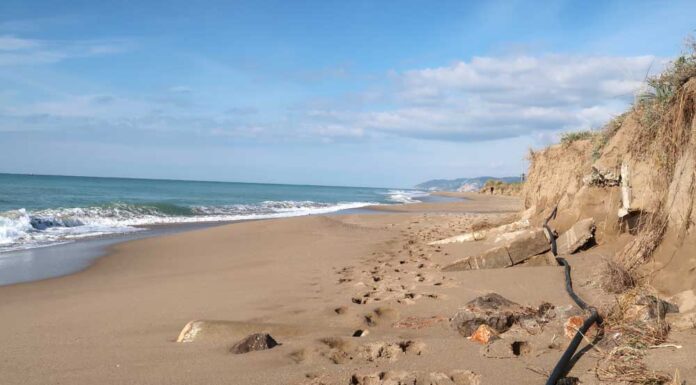 Els temporals d’octubre es mengen fins a 40 metres d’amplada de les platges metropolitanes