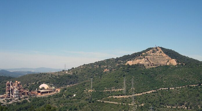 El Parc Natural de la Serra de Collserola activa un conjunt de mesures davant el focus de pesta porcina africana (PPA)