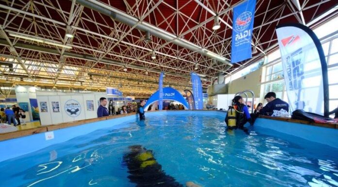 Cornellà, epicentre del món del busseig del 23 al 25 de febrer