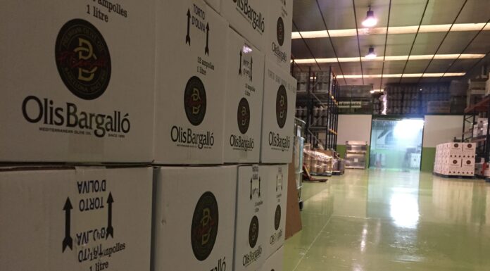 Roben 10.000 litres d’oli d’oliva a Castellví de Rosanes valorats en més de 70.000 euros