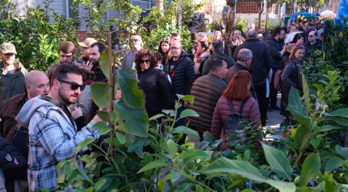 La Candelera tanca amb una assistència massiva i deixant bones valoracions