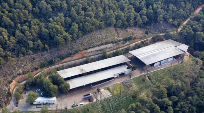 La planta de compostatge de Torrelles, un exemple d’economia circular gràcies a la producció d’ecocompost