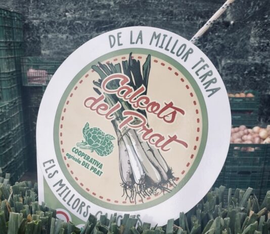 La Cooperativa Agrícola del Prat de Llobregat crea un segell per comercialitzar els seus calçots