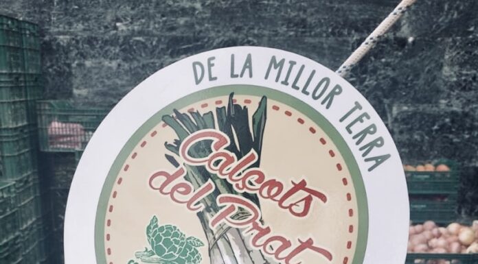 La Cooperativa Agrícola del Prat de Llobregat crea un segell per comercialitzar els seus calçots