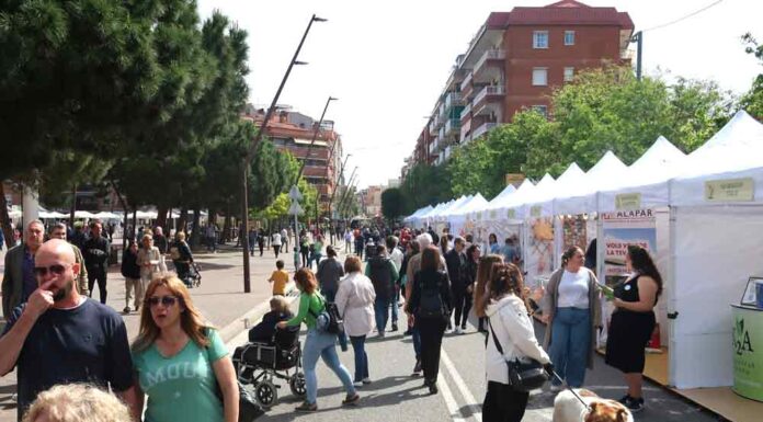 Comerç i activitats per viure el darrer dia de la Fira d’Espàrrecs de Gavà, en família