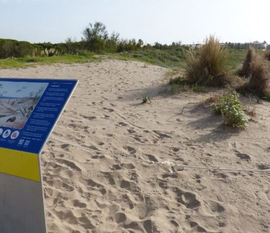 L’AMB demana col·laboració ciutadana per seguir la biodiversitat del litoral metropolità