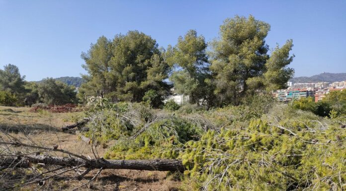 Denuncien unes obres en terrenys forestals a Gavà, vinculades al Pla de Ponent, en ple agost i presumptament incomplint el Pla Alfa per risc d’incendis