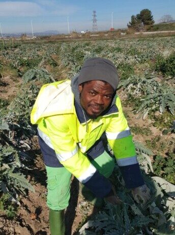 Migració i “boles”: Tot el que ens volen fer creure. Per Lluís Carrasco