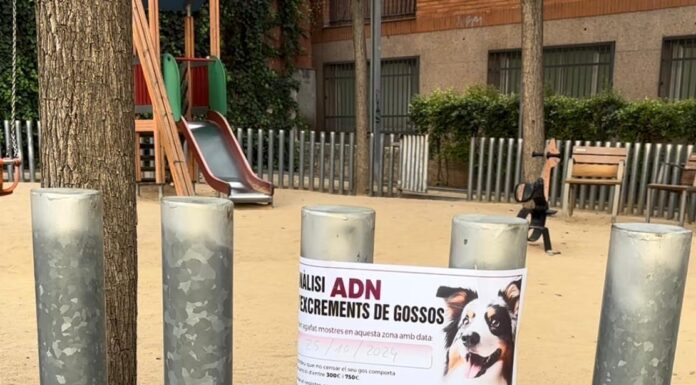 816 sancions en 6 mesos per no complir la normativa de censar els gossos adequadament