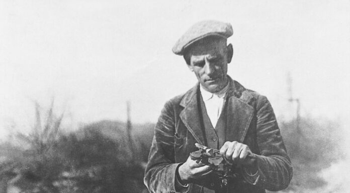 Sant Feliu: aquest divendres es presenta el llibre “Les roses de Pere Dot”