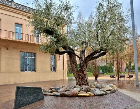 De la Falange a Comissaria. Per Jaume Bosch