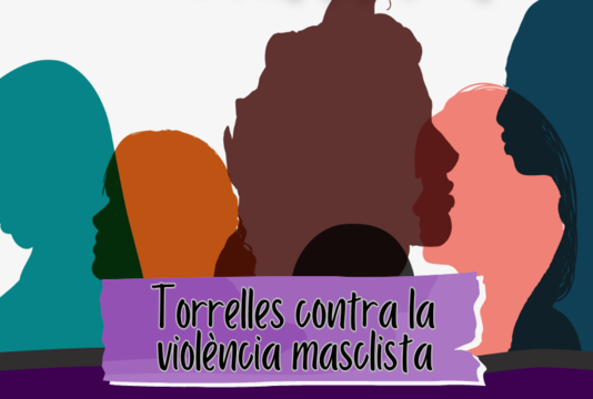 25N. Dia Internacional per a l’Eliminació de la Violència contra les Dones. Declaració institucional