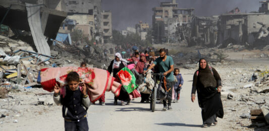 Carta als Reis . Per Amnistia Internacional