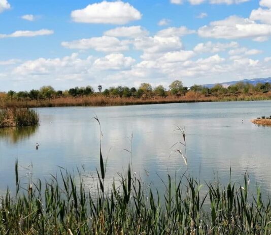 SOS Baix Llobregat demana una llei que blindi el delta del Llobregat, amb un gran Parc Natural i Agrari