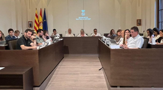 “La veritat dels sous i sobresous del govern de Sant Feliu”. Per Loren Rider