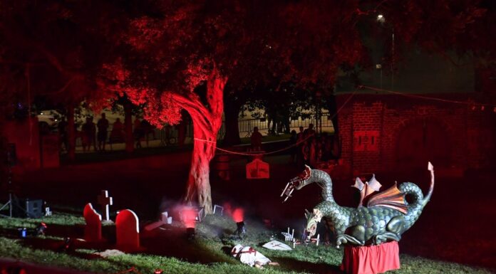 El Gar-i-Got de Castelldefels es vesteix de gala per celebrar el seu 40è aniversari