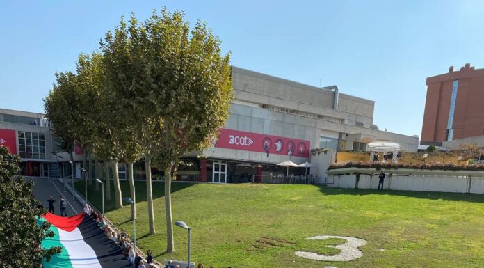 Solidaritat amb Palestina al Baix Llobregat: vaga general no; aturades i mobilitzacions sí