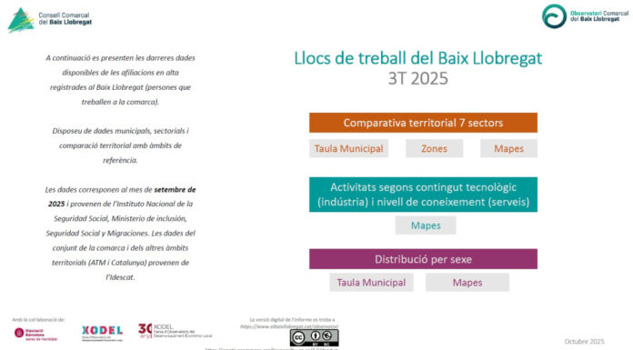 El 38,1 % dels llocs de treball industrial al Baix Llobregat es dediquen a activitats de tecnologia alta i mitjana-alta