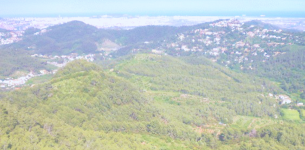 En el Dia Internacional de les Muntanyes, la gestió forestal es valora com a eina clau per prevenir incendis i impulsar la transició energètica al Baix Llobregat