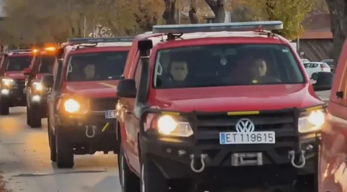 Pesta porcina: La UME es desplega a Collserola