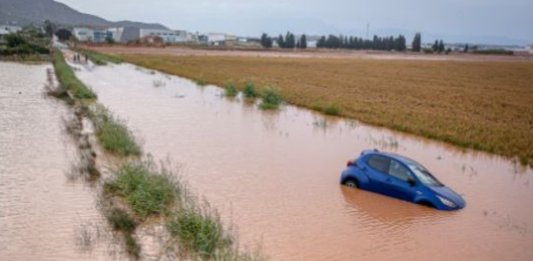 Pallejà exposa els efectes de l’emergència climàtica