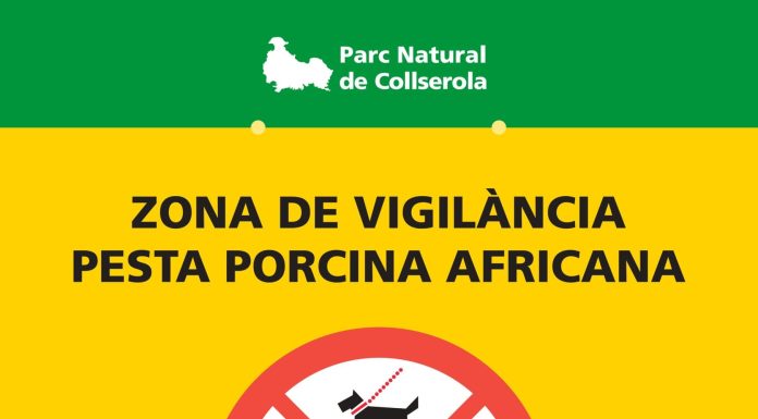 A Collserola s’acaba la paciència: L’alcalde de Sant Cugat reclama reduir les restriccions