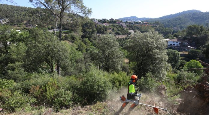 L’AMB activa un nou pla de prevenció d’incendis als boscos metropolitans amb una inversió d’1,35 milions d’euros
