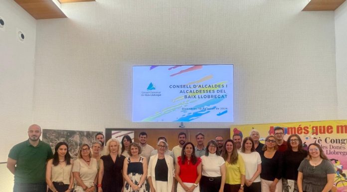 El Consell d’Alcaldes i Alcaldesses del Baix Llobregat coneix noves iniciatives per reforçar la cultura, la salut i el desenvolupament comarcal